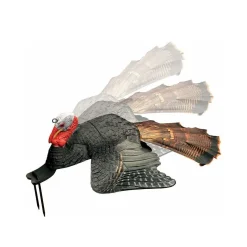 Dirty bird Injured gobbler decoy