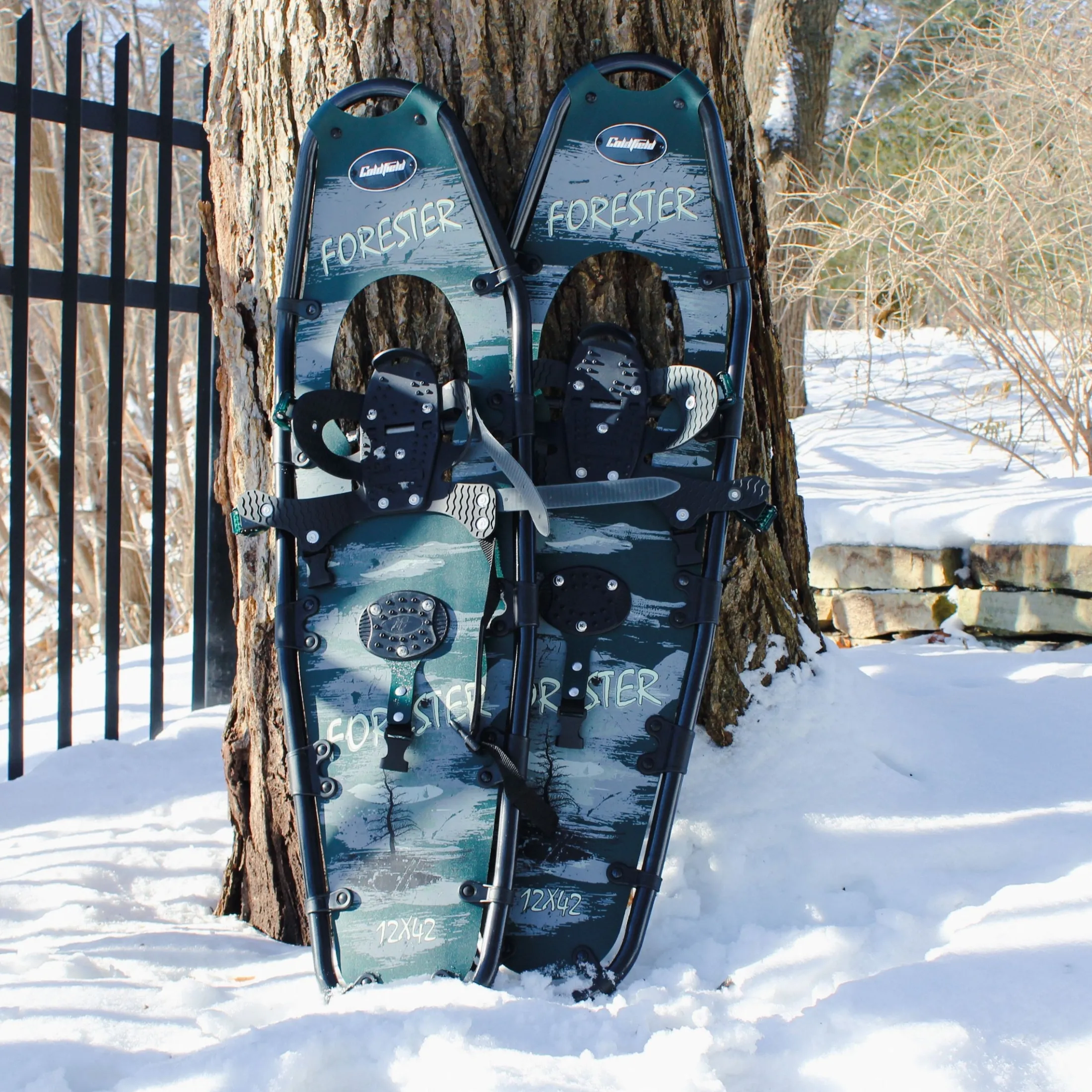 Forester Snowshoes