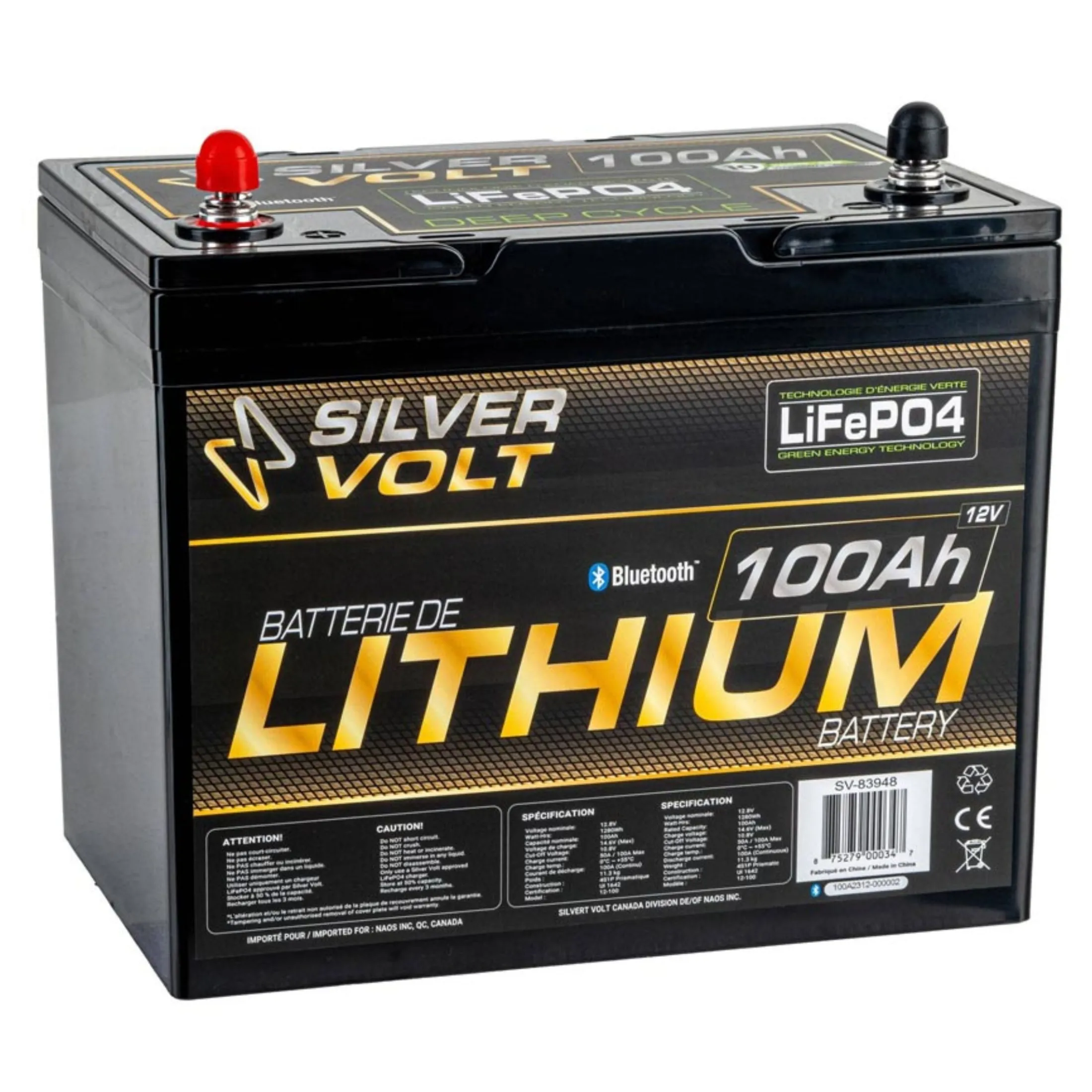 LiFePO4 Rechargeable Lithium battery - 100 A