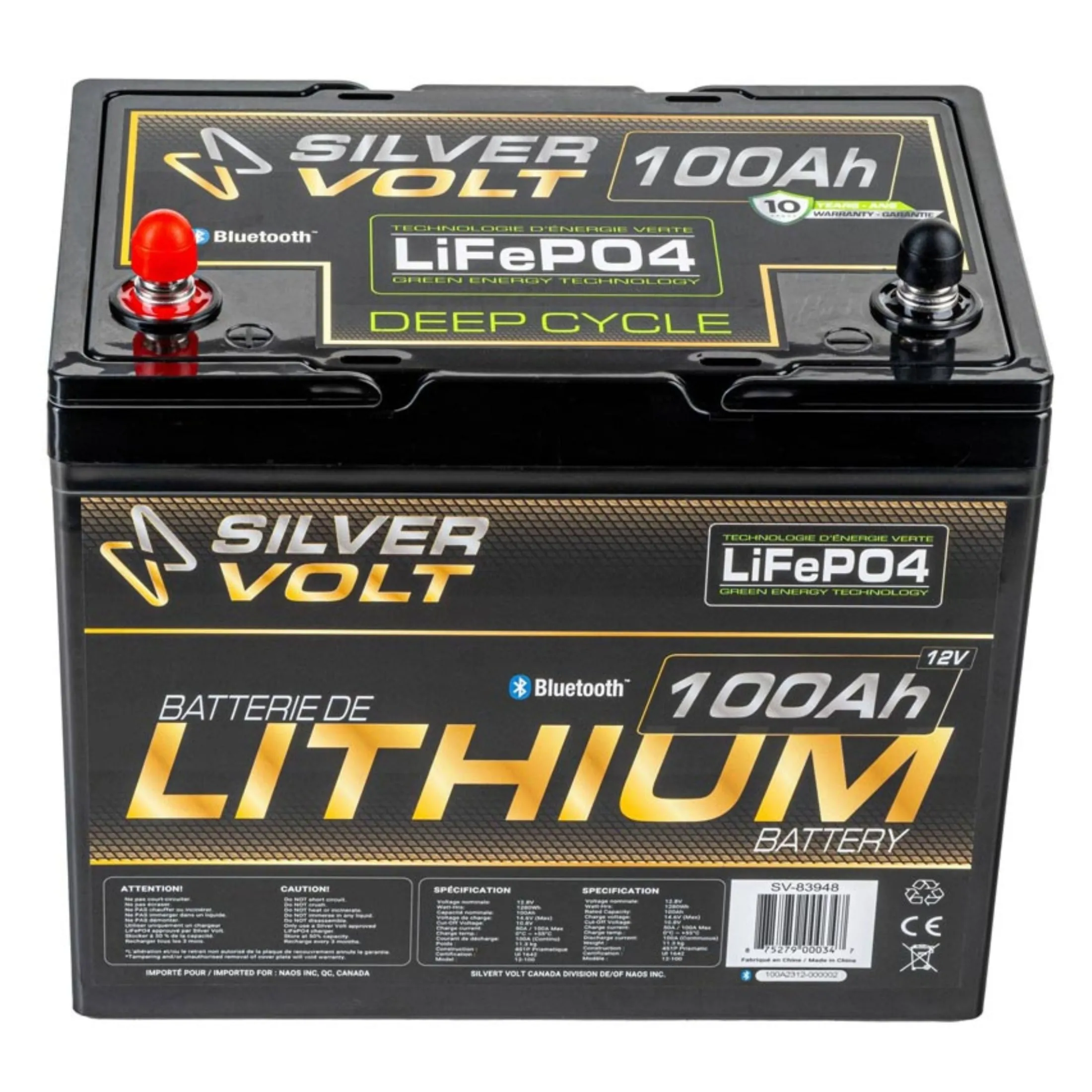 LiFePO4 Rechargeable Lithium battery - 100 A