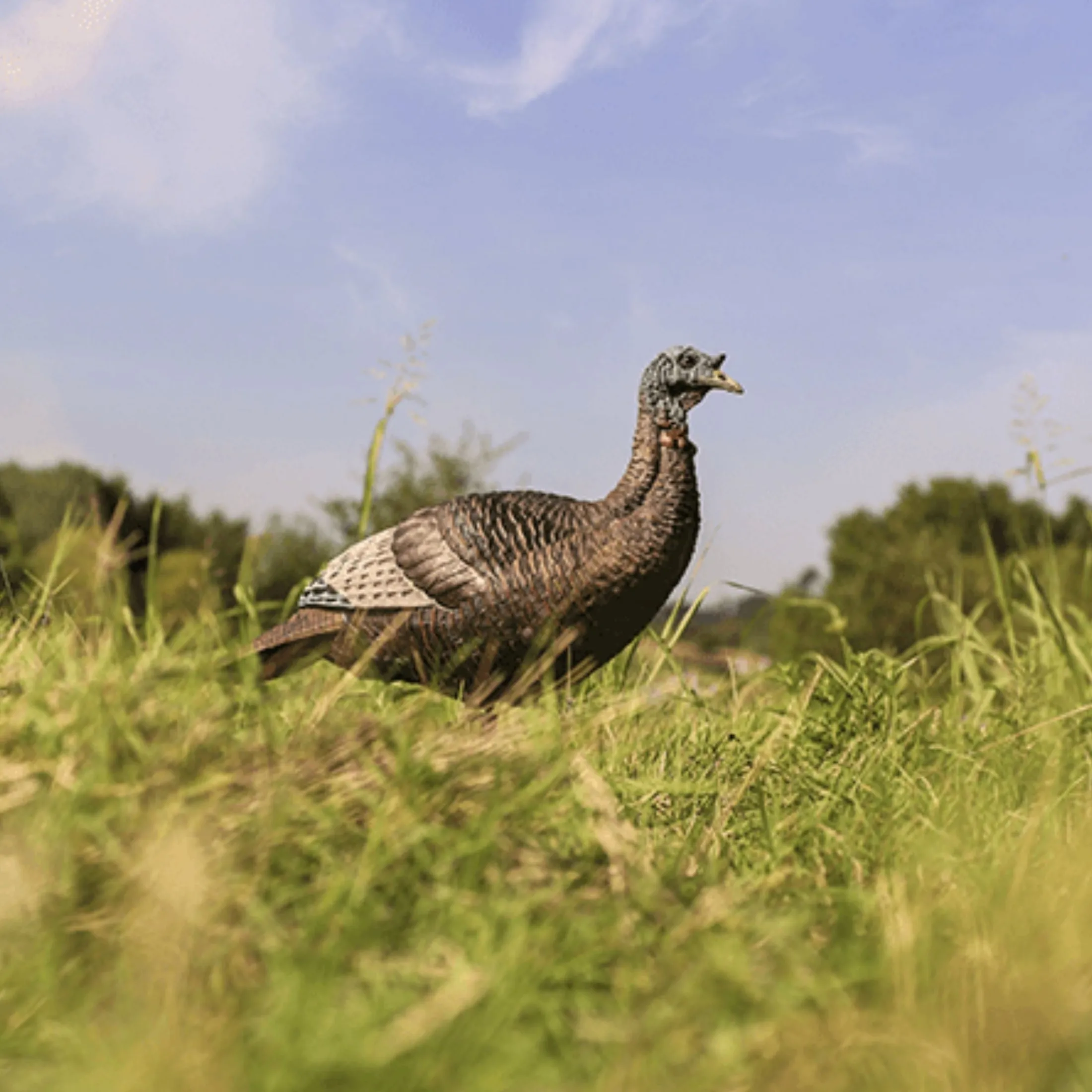 Thunder chick upright Decoy