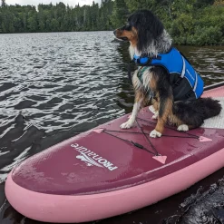 Water dog Flotation device for dogs